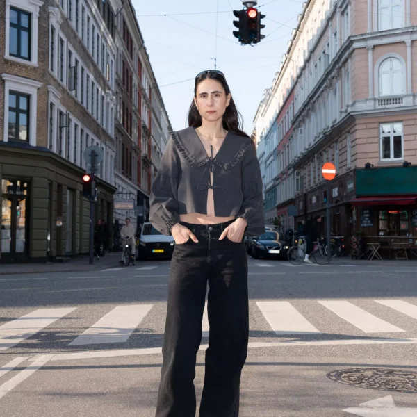 Tie Blouse+Lantern Sleeves+Peggy Collar - Bilde 4